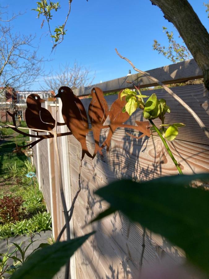 Het Zwaluwnest Apartamento Koudekerke Exterior foto