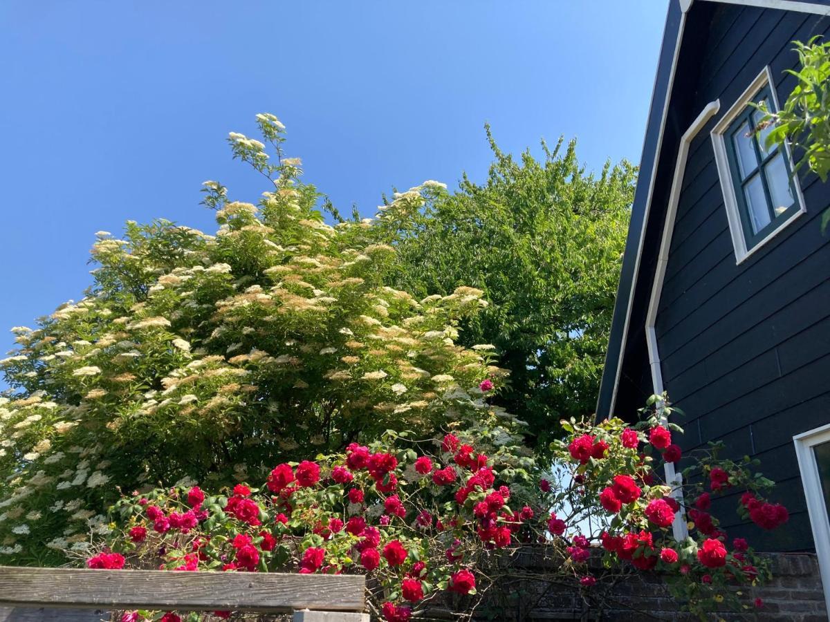 Het Zwaluwnest Apartamento Koudekerke Exterior foto